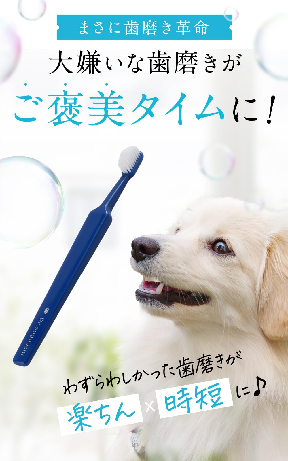 Amazon.co.jp: 【ドクタースゴオチ】ドクターデンタルワン 犬 歯ブラシ